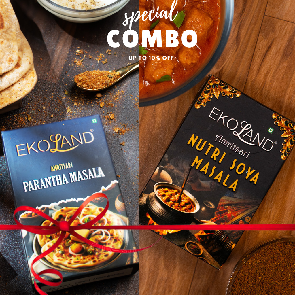 PRANTHA MASALA (PACK OF 2) & NUTRI MASALA (PACK OF 2)
